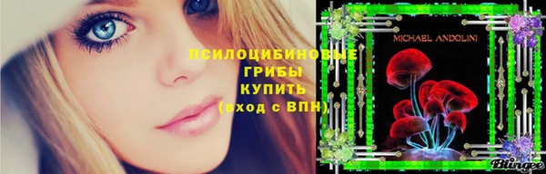 jwh Аркадак
