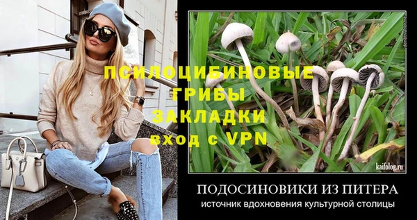 jwh Аркадак