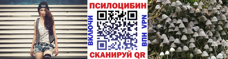Галлюциногенные грибы мухоморы  гидра сайт  Знаменск  купить  сайты 